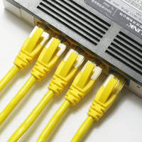 Cable de Conexión Ethernet RJ45 Premium para Instalación y Servicios de Mantenimiento de Redes en Edificios Comerciales