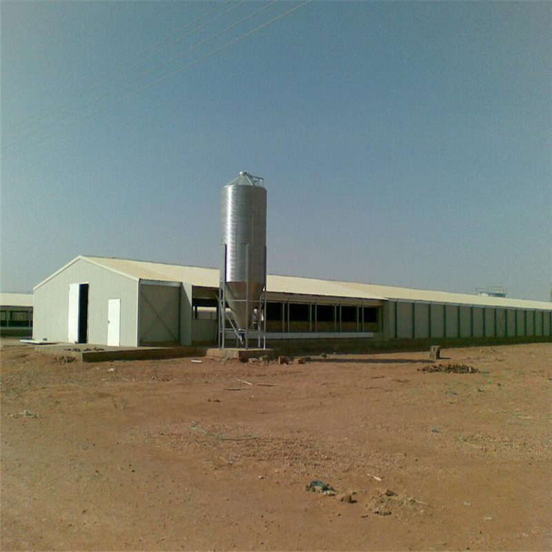 Prefab Chicken Farm Building With Automatic Chicken Equipment