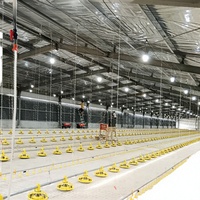 Mangeoire à poulet en plastique à longue durée de vie, fournie directement par l'usine, équipement d'élevage de poulets à haute efficacité