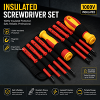 Kit d'outils de réparation multi-usages avec tournevis à embout magnétique à poignée en plastique certifié VDE, 9 pièces, OEM - 1000V, garantie 1 an