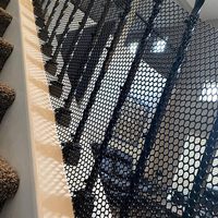 Filet Plastique Noir 100 % PEHD Stabilisé aux UV, Filet pour Volaille, Maille Clôture Volière en Plastique Blanc pour Poulets