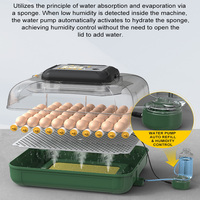 Machine à couver les œufs de volaille pour canard, oie, caille, oiseau, poulet, pigeon, incubateur automatique