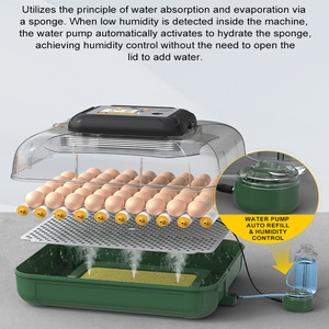 Máquina Incubadora de Huevos de Aves de Corral para Patos, Gansos, Codornices, Pájaros, Pollos, Palomas, Incubadora Totalmente Automática - Product Image 4