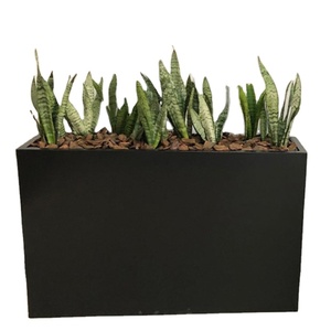 Jardinières rectangulaires en <span class=keywords><strong>plastique</strong></span> de haute qualité et bon marché pour jardin d'intérieur, pots de fleurs auto-arrosants - Product Image 3
