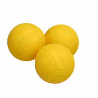 Jeu de balles spike avec sac de transport payé parc extérieur plage pelouse et jardin pour enfants et adultes