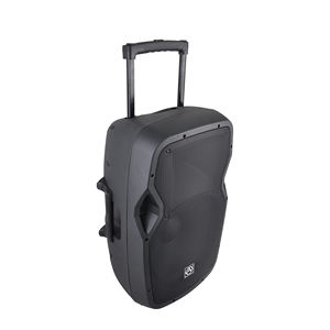 Précision Pro Audio CSL15AVH 100W 15 pouces Batterie rechargeable sans fil Chariot DJ Party Powered Active Portable Speaker - Product Image 5