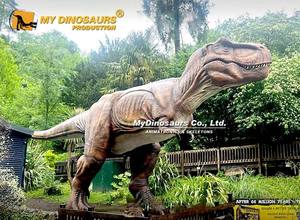 Benim Dino gerçekçi yaşam boyutu Animatronic dinozor t-rex kükreyen ses ile - Product Image 6