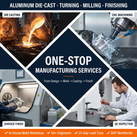 Pièces moulées sous pression en aluminium de précision OEM avec finition CNC et revêtement en poudre pour assemblages de moteurs industriels