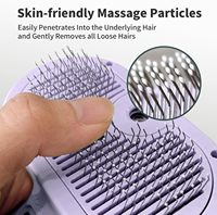 Brosse à vapeur Petop pour chat, rechargeable, avec pulvérisation, pour chiens à poils courts et longs, antistatique, outil de démêlage