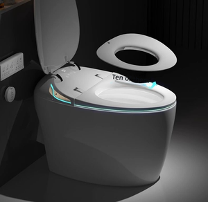 현대 휴대용 비데 화장실 욕실 럭셔리 위생 화장실 스마트 원피스 바닥 스마트 지능형 WC 화장실 - Product Image 4
