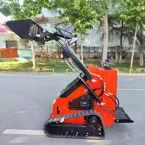 Miễn phí vận chuyển Trung Quốc nhà máy mini bánh xe Skid chỉ đạo Bộ nạp được trang bị với nhập khẩu briggs & stratton xăng động cơ diesel - Product Image 6