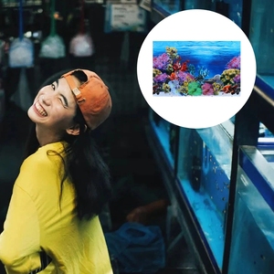 3D Fish Tank <strong>Background</strong> Picture DIY Decorative Aquarium Backdrop Picture - Product Image 6
