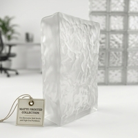 Bloc de verre texturé effet glace craquelée Mingman, briques de verre décoratives imperméables pour cloisons intérieures