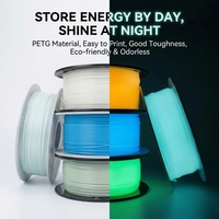 Filament PETG Luminescent dans le Noir, Luminescence Longue Durée, Faible Odeur, Sûr et Écologique pour Imprimante FDM