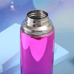 Offre Spéciale <span class=keywords><strong>1L</strong></span> Double Paroi Mate <span class=keywords><strong>Gourde</strong></span> Flacon à Thé Thermique Fiole Isolée Sous Vide Thé Thermoses Bouteilles à Boisson Bouteille en Acier Inoxydable - Product Image 2