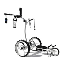 Chariot de golf électrique au lithium à haut degré personnalisé en Chine avec télécommande