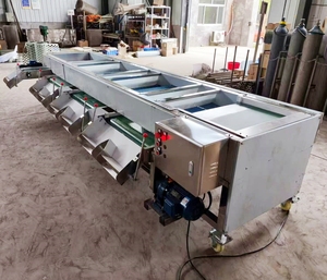 High Efficiency Cherry Blueberry Sorting and Grading Machine <b>Cranberry</b> Peanut Sorter Grader Machine - Product Image 6
