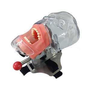 <strong>Dental</strong> <strong>Simulation</strong> Simple Head <strong>Unit</strong> ,<strong>dental</strong> Phantom Head - Product Image 4