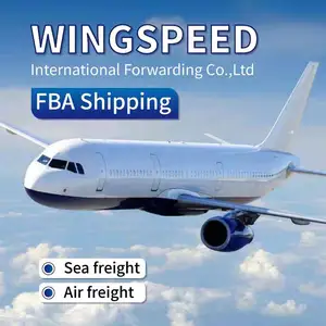 Professional Door To Door Air Freight Agents FBA DDP Shipment