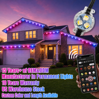 OEM ODM 12V 24V 36V 30mm Ucs2904 Smart App Eave Track Led Point Lights Ip68 Rgbw Gemstone Permanent Christmas Light Ing