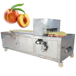 Machine à dénoyauter industrielle professionnelle pour pruneaux, cerises, pêches, abricots, poires / Machine à séparer les graines de pruneaux et de piments - Product Image 5