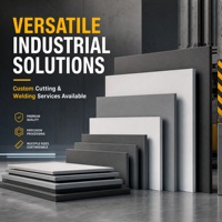 Plaque PVC solide OEM Bestpay 2-30mm 4x8ft Densité 1.38g/cm³ Résistante aux acides et aux alcalis Service de découpe sur mesure