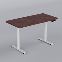 Table élévatrice électrique PRORIALS à double moteur, réglable, ergonomique, en acier massif, pour bureau à domicile