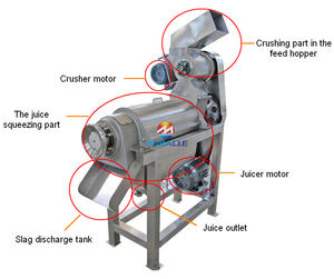 Macchina industriale per la produzione di succo di barbabietola da pomodoro per estrusione a spirale commerciale - Product Image 4
