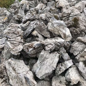 Plantas de Acuario, Decoración para Peceras y Estanques, Paisajismo Acuático y Terrestre, Bonsái, Piedra de Dragón Verde para Jardín - Product Image 2