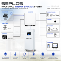 Système de stockage d'énergie domestique hybride Seplos pour Mason 280 48V LiFePO4 avec BMS intelligent, pack de batteries vertical séparé, alimentation de secours solaire