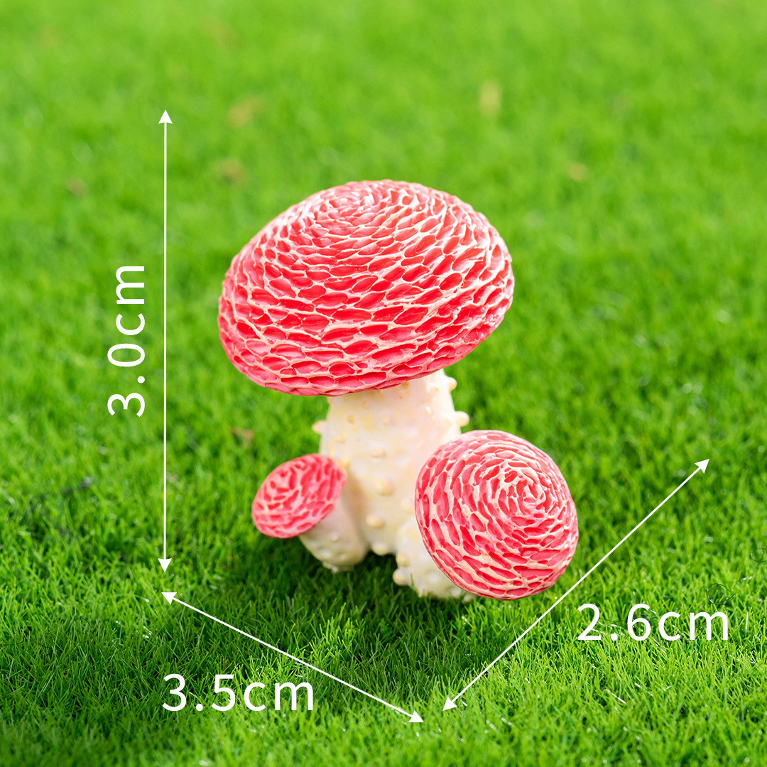 N°4 Champignons de Dentelle Rouge