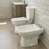 WC modernes à double chasse pour salle de bain, articles sanitaires, Argentine