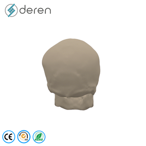 Modelo de Cráneo de Tamaño Real con Mandíbula, Vasos Sanguíneos y Nervios, Herramienta de Anatomía Médica para Entrenamiento Científico - Product Image 3