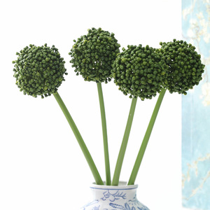 Y-H204 Meilleures ventes : Branches <span class=keywords><strong>de</strong></span> sérum artificielles en plastique, plantes succulentes, boules <span class=keywords><strong>de</strong></span> sérum pour la décoration <span class=keywords><strong>de</strong></span> tables d'événements et <span class=keywords><strong>de</strong></span> mariages - Product Image 1