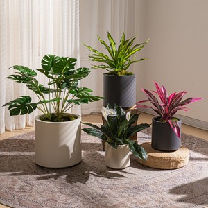 Macetas de Resina al por Mayor, Macetas de <span class=keywords><strong>Interior</strong></span> con Plantas Artificiales, Decoración Comercial para Proyectos de Hoteles y Oficinas - Product Image 1