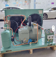 Unité de stockage frigorifique refroidie par air et par eau 5 tonnes R404A -20~-40 Compresseur hermétique à haute productivité 380V