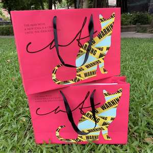 Bolsa de Papel Ecológica Personalizada con Impresión de Cinta de Seda, Resistente a la Humedad, Reutilizable, para Compras, Pasteles, Vino, con Logotipo - Product Image 3