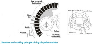 Loại mới CE được phê duyệt nhà máy chuyên nghiệp trang trại chất thải gạo trấu Ngô <span class=keywords><strong>COB</strong></span> gỗ nhiên liệu <span class=keywords><strong>PELLET</strong></span> Máy làm - Product Image 5