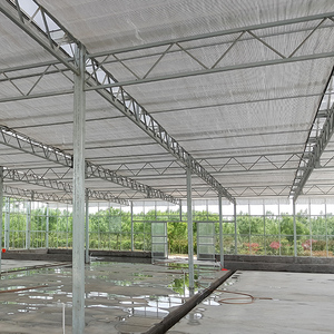 Invernadero de vidrio de invernadero vegetal de alta calidad de China con cultivo hidropónico para <span class=keywords><strong>verduras</strong></span> y flores al mejor precio - Product Image 2