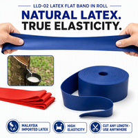 Bandes de Résistance en Latex Robustes pour Exercices de Traction, Lot de 5 Boucles, Haute Élasticité pour Entraînement de Force et Exercices de Fitness à Domicile