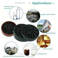 Karbon Granular Berbasis Batubara Volume Besar Untuk Pembangkit Listrik Berbahan Bakar Batubara, Pemurnian Gas, Material Adsorpsi Dioxin