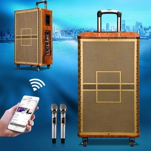 Amplificador de gran potencia de 120W, 12 pulgadas con batería de 12V/12Ah, recargable, TWS, altavoz profesional con carrito de madera para exteriores - Product Image 5