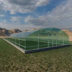 Bingkai baja tergalvanis panas Film PE rentang tunggal rumah kaca untuk pertanian terowongan hemat biaya rendah hidroponik rumah kaca