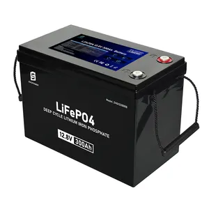Bateria de íon de lítio personalizada para armazenamento de energia 12V 300Ah LiFePO4 12.8v 12 volts
