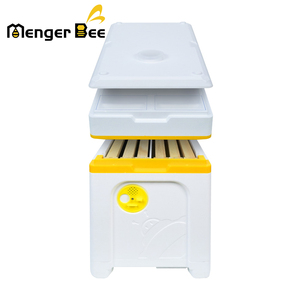 กล่องเลี้ยงผึ้งแบบใหม่ Menger Bee White EPS Foam Queen Rearing Nuc Box พร้อมเฟรมในตัว ขนาด 55x30x27 ซม. ใช้ได้กับรังผึ้ง Langstroth 6 รัง รับประกัน 1 ปี - Product Image 6