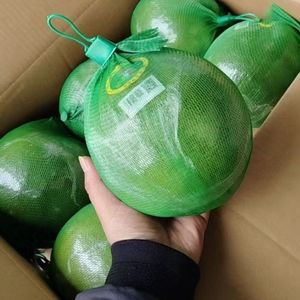 Màu xanh lá cây PP nhỏ Nhựa Lưới Trái Cây <span class=keywords><strong>Net</strong></span> Bag đối với bưởi - Product Image 5
