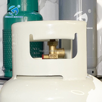 Bouteille de gaz GPL en acier personnalisée de 9 kg (20 lb) pour la cuisson domestique, certifiée ISO, directement de l'usine, Mexique
