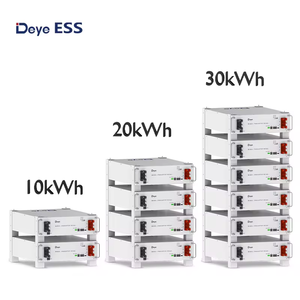 Deye Lithium Batterij 51.2V 100ah 5kwh 10kwh 15kwh 20kwh 30kwh 50kwh Lifepo4 Batterij Packs Voor Thuis Zonne-Energie Opslagsystemen - Product Image 3
