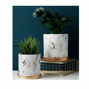 8 "Pflanzen topf Untertassen Keramik Primel Töpfe Große Keramik Wand Pflanz gefäße Orchidee Keramik Gold Keramik Topf mit Untertasse