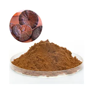 The Fine Quality Red Reishi Mushroom Ganoderma Lucidum Extracts Reishi Mushroom Organic